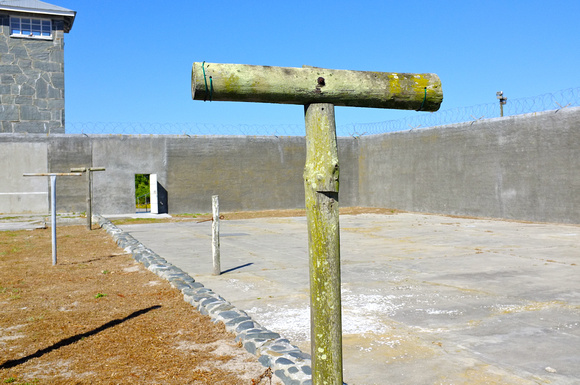 Court Yard