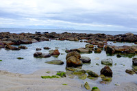 DSCF0853
