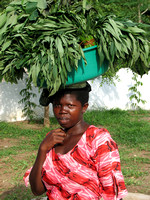 Tanzania - 2007 Cross Cultural Solutions - Volunteer, Bagamoyo.