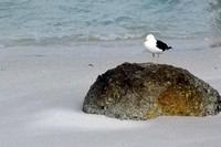 coast12