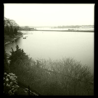 Winter on the Cove,