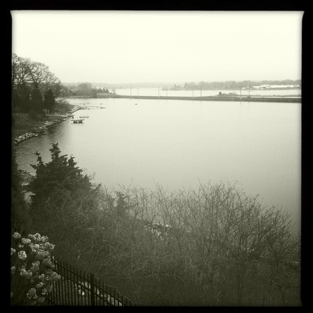 Winter on the Cove,