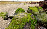 coast3_edited-1